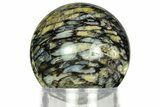 Polished, Black Petrified Palm Root Sphere - Indonesia #311557-1